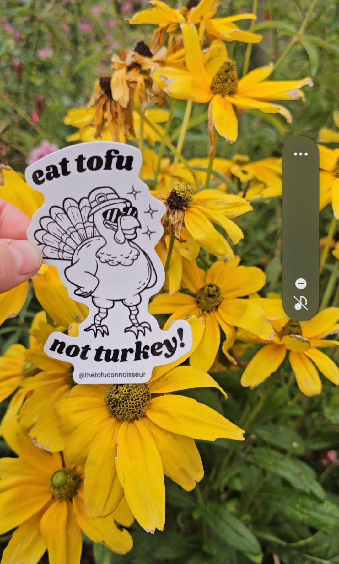 Eat Tofu Not Turkey