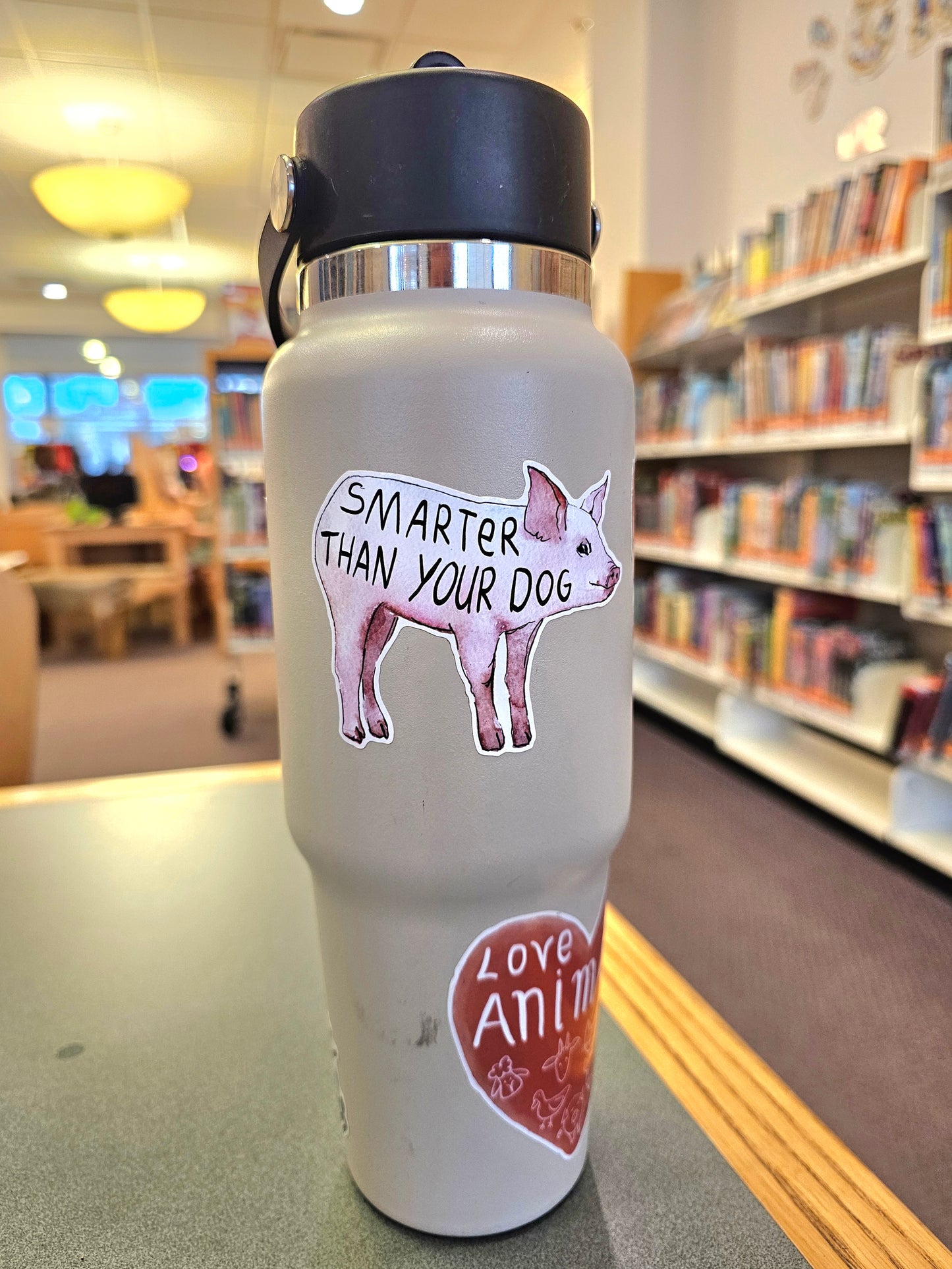 Smarter than your dog sticker