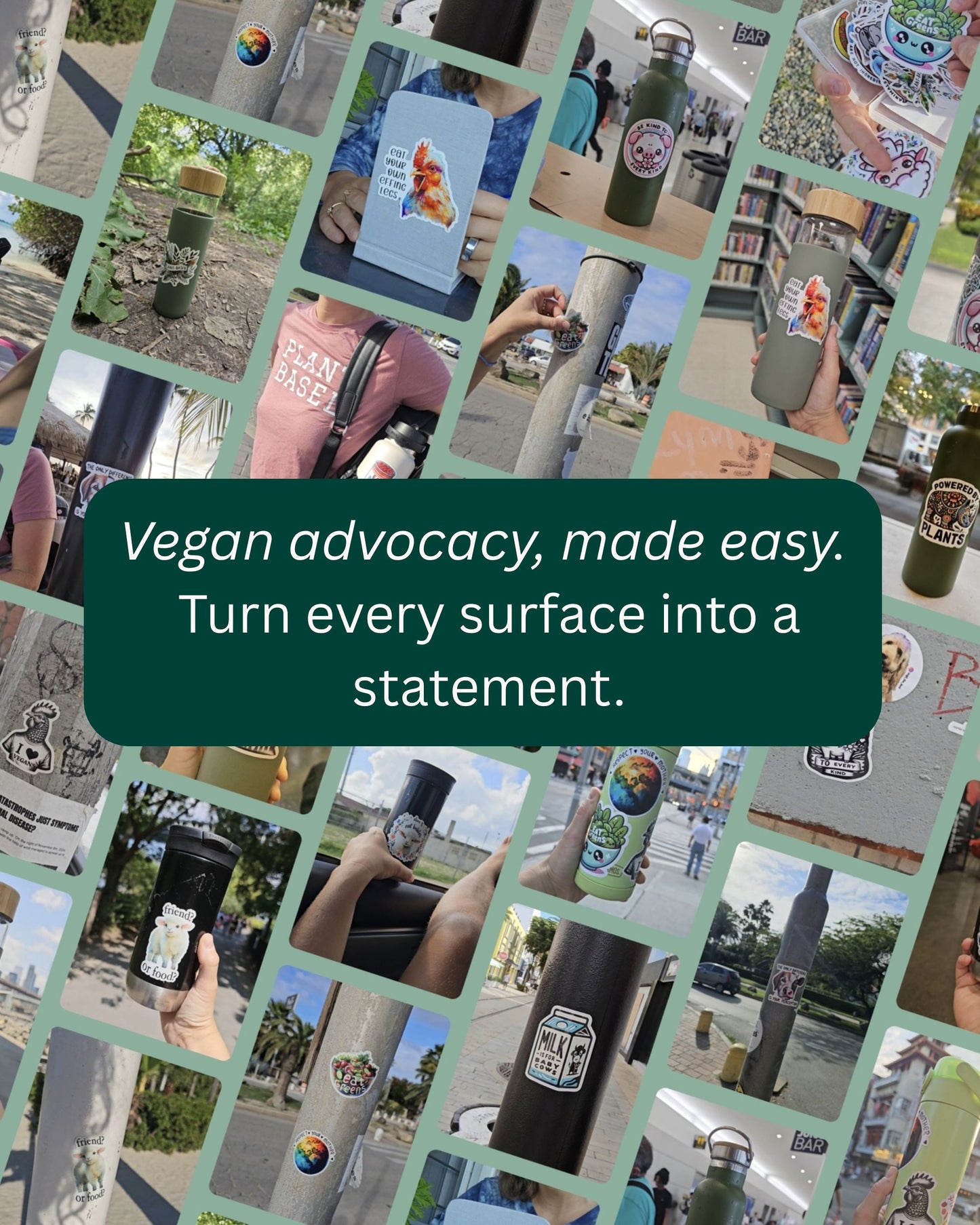 6 Pack Vegan Sticker Subscription