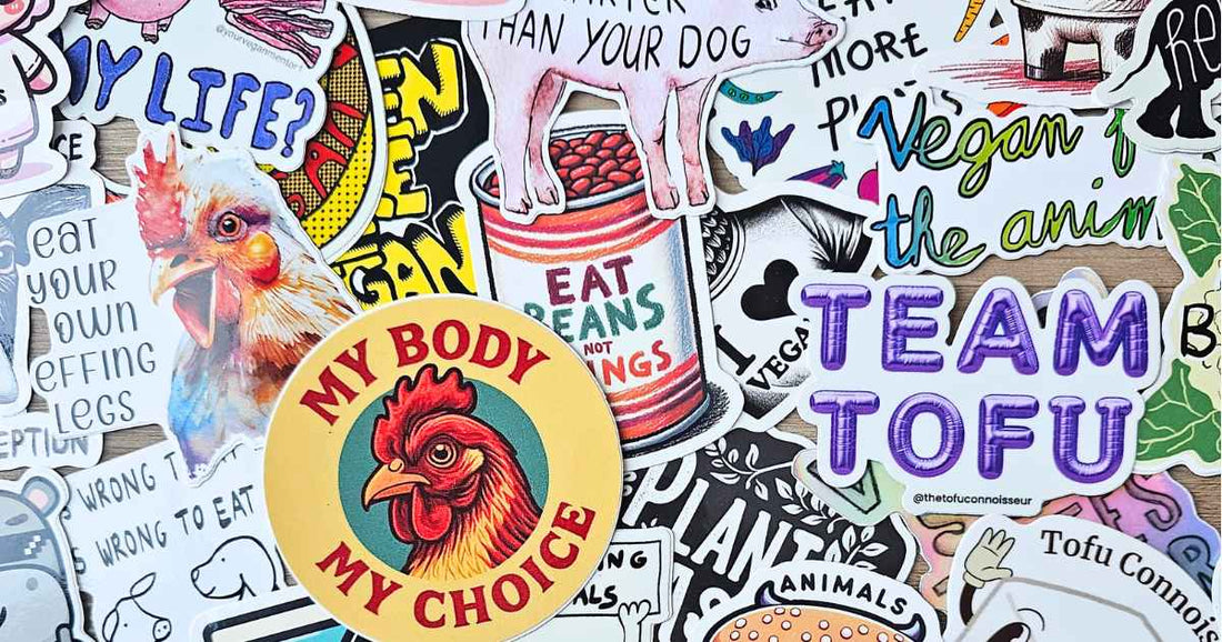 5 Best Vegan Sticker Shops in 2026