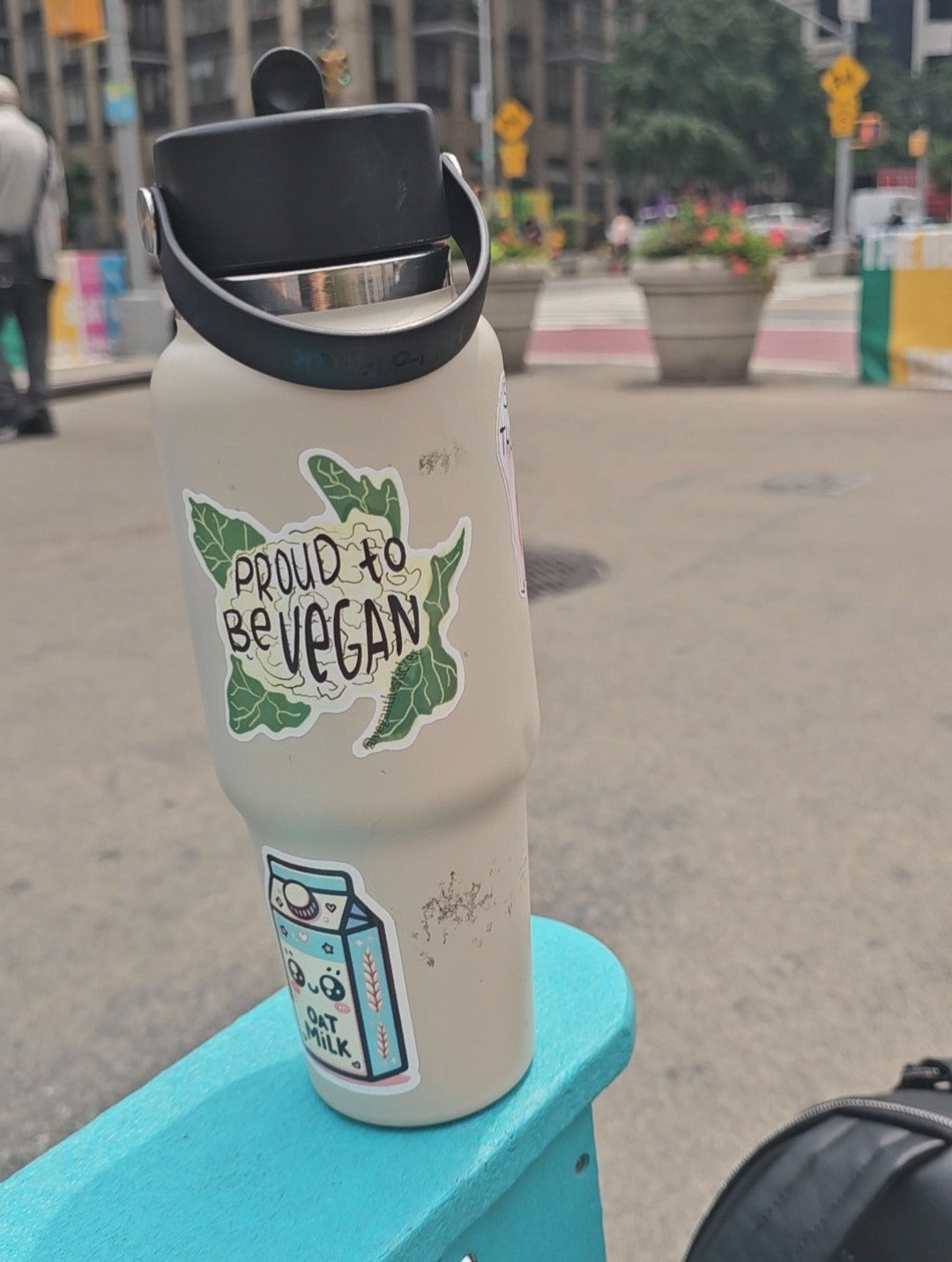 Proud To Be Vegan Sticker