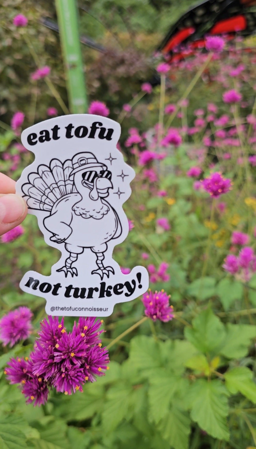 Eat Tofu Not Turkey