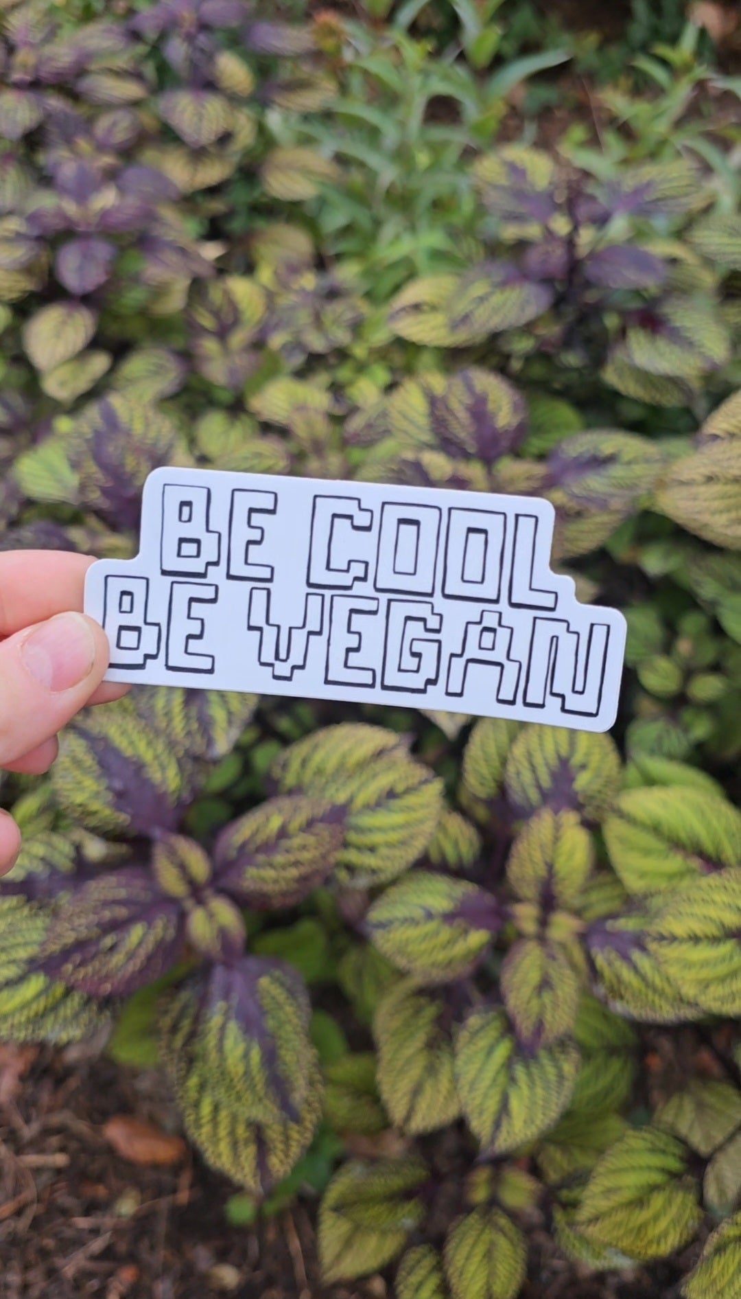 Sticker with 'BE COOL BE VEGAN' text held over a leafy green background