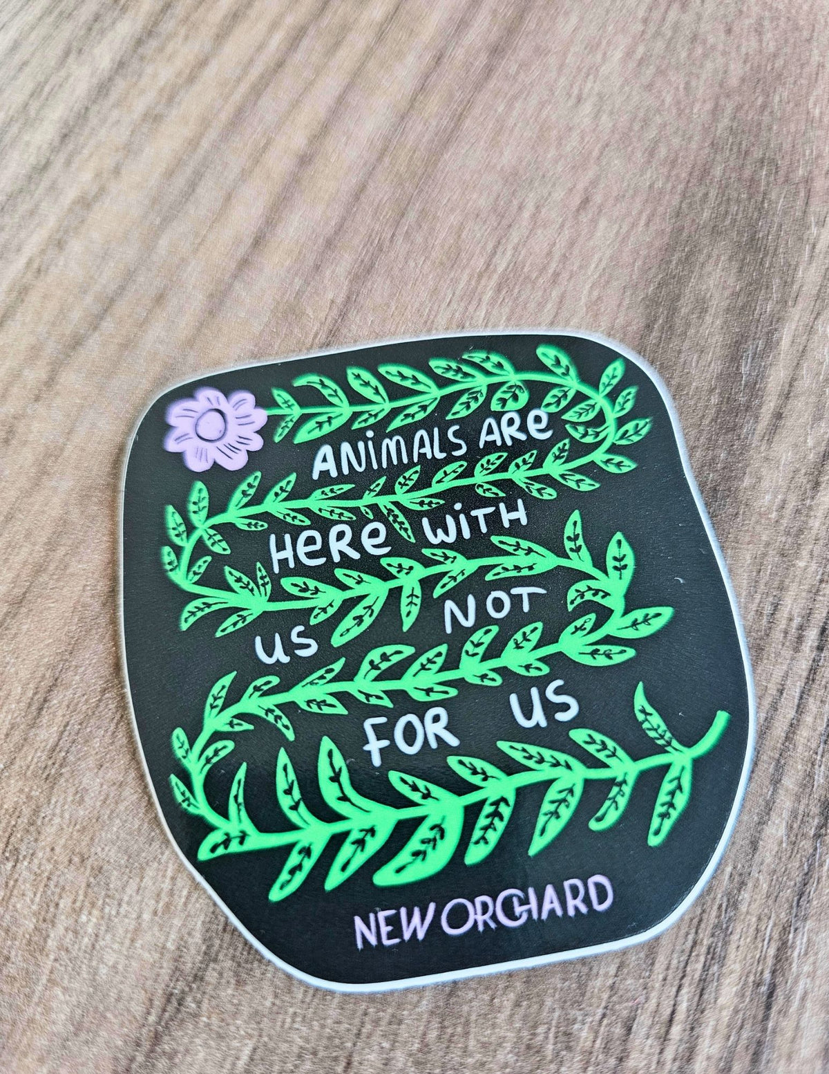 Animals Are Here With Us Not For Us